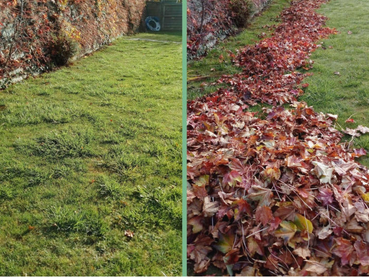 Jobs bei HLS Hausmeisterservice | Ines Hopfgartner Jobs bei HLS Hausmeisterservice | Ines Hopfgartner